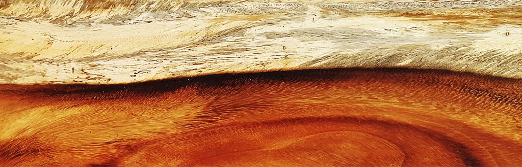 PAROTAS – Carpentry and Custom Furniture – MEXICO