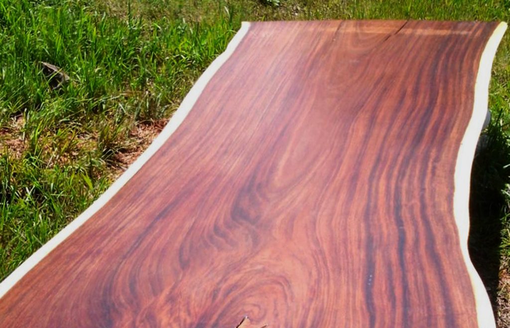 PAROTAS – Carpentry and Custom Furniture – MEXICO