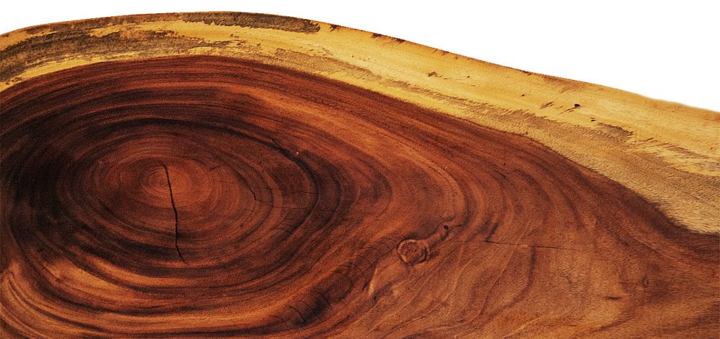 PAROTAS – Carpentry and Custom Furniture – MEXICO