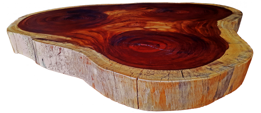 PAROTAS – Carpentry and Custom Furniture – MEXICO