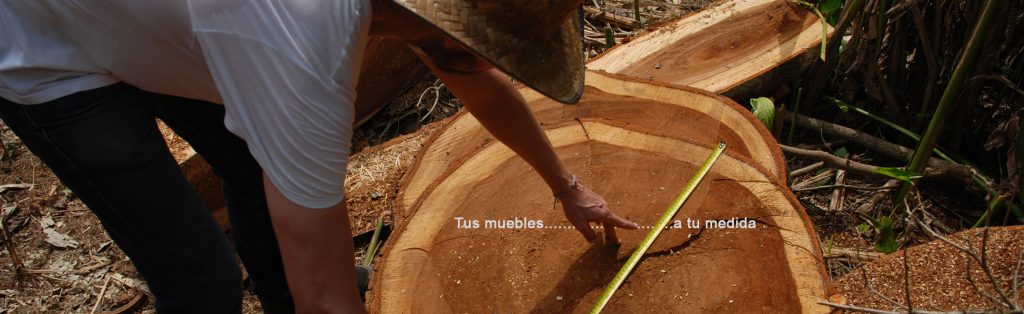 PAROTAS – Carpentry and Custom Furniture – MEXICO