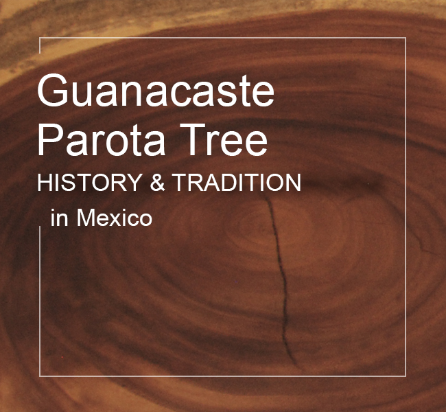 Parota, a Tree with History and Tradition in Mexico