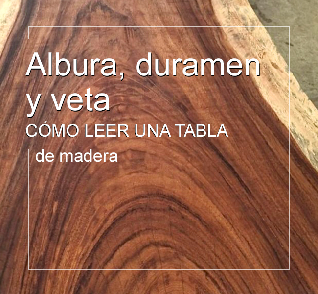 Parotas-albura-duramen-veta